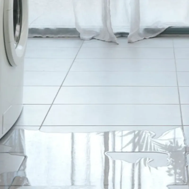 Appliance Leak Cleanup in Buckland, MA
