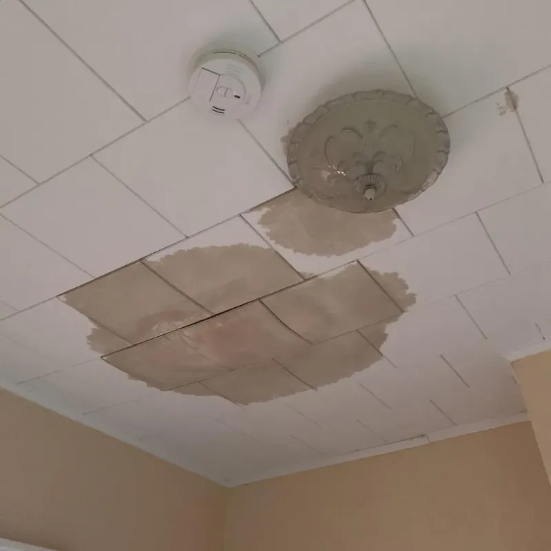 Ceiling Water Damage Repair in Buckland, MA