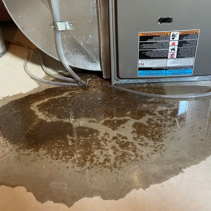 Pipe Burst and Leak Restoration in Buckland, MA